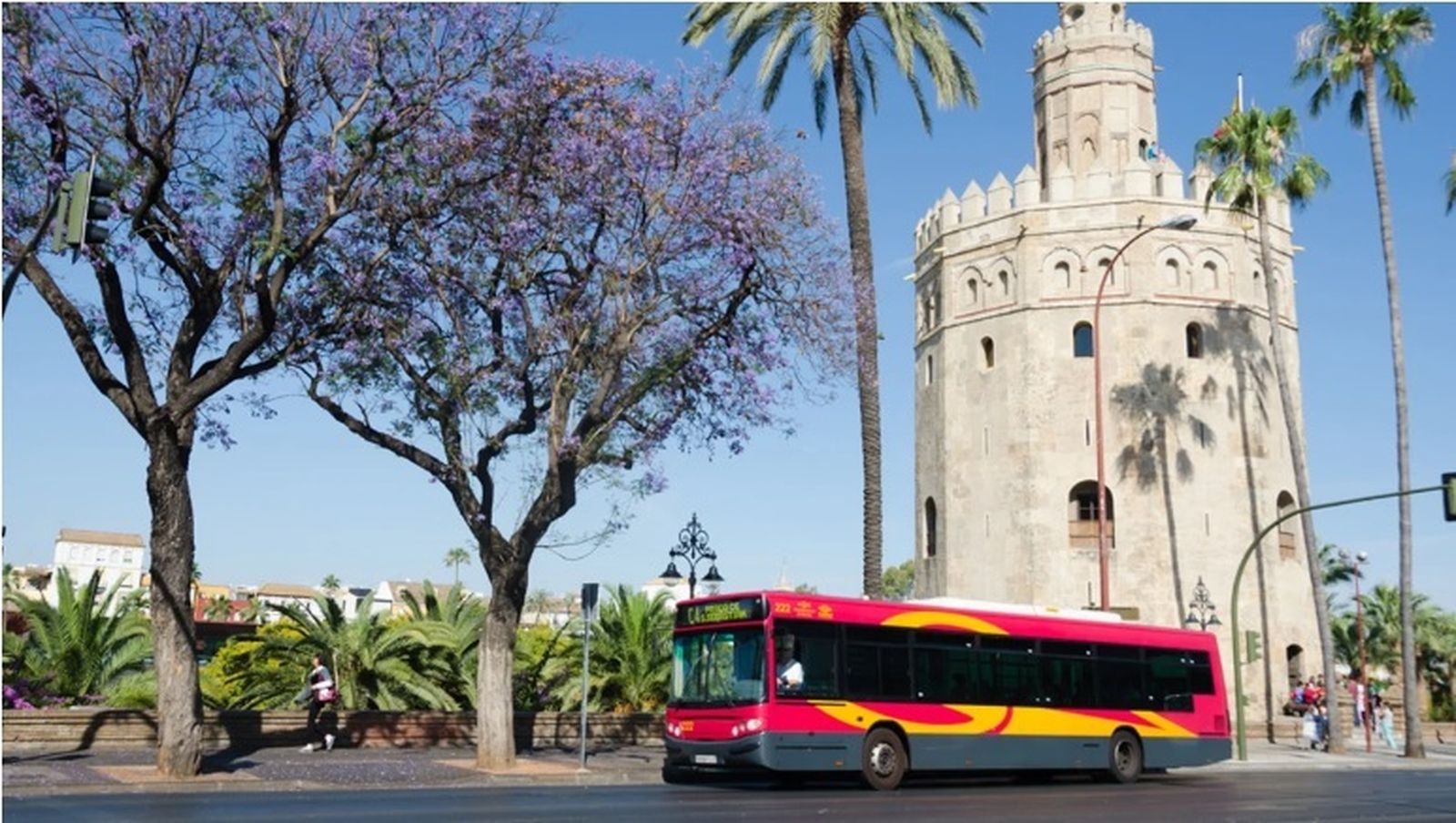 Un autobús de Tussam pasa por delante de la Torre del Oro.