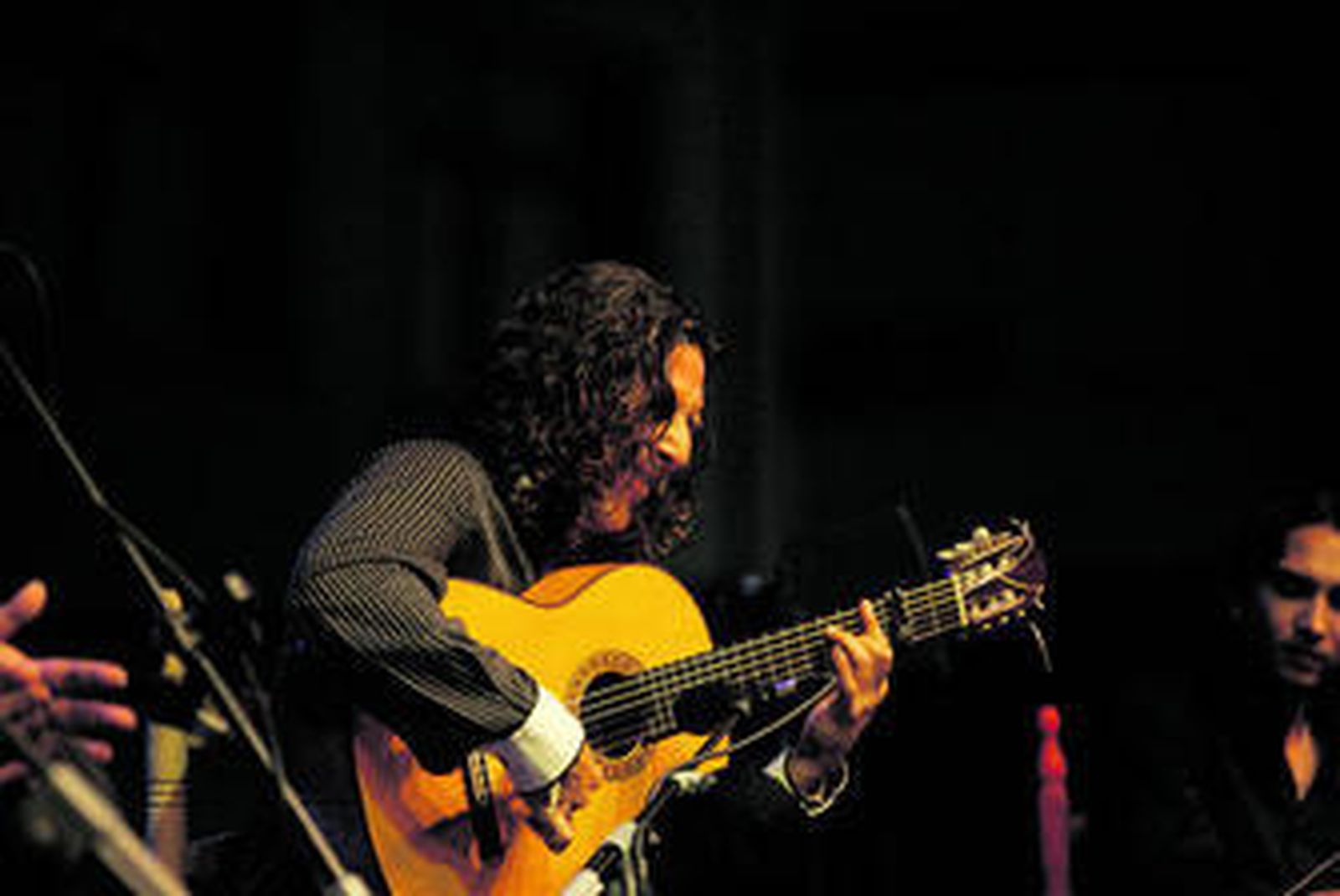 Tomatito hizo vibrar al público de su tierra.