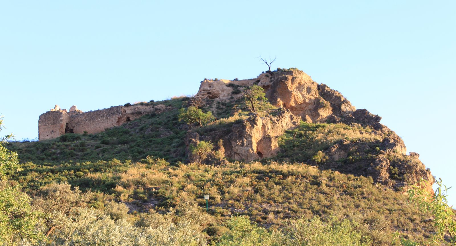 Califican de "muy preocupante" que ciertas partes de su muralla norte y su aljibe andalusí se han perdido