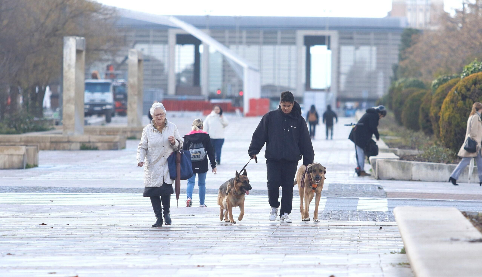 El temporal de viento y lluvia en Córdoba, en imágenes