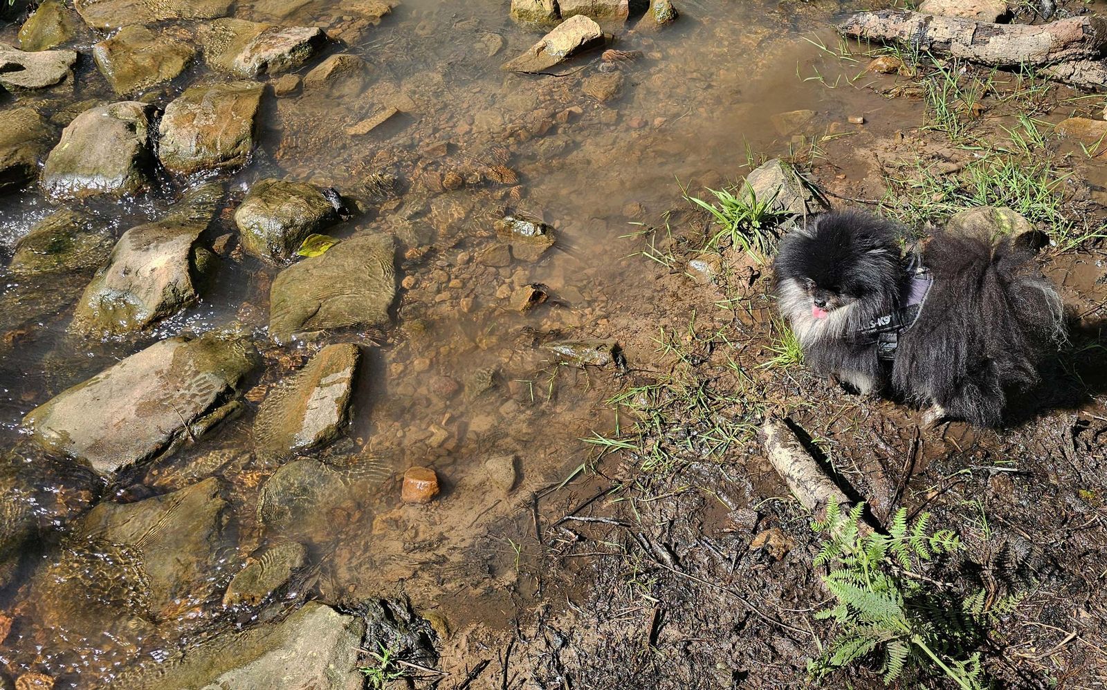 Fotos del río de la Miel tras las borrascas de marzo