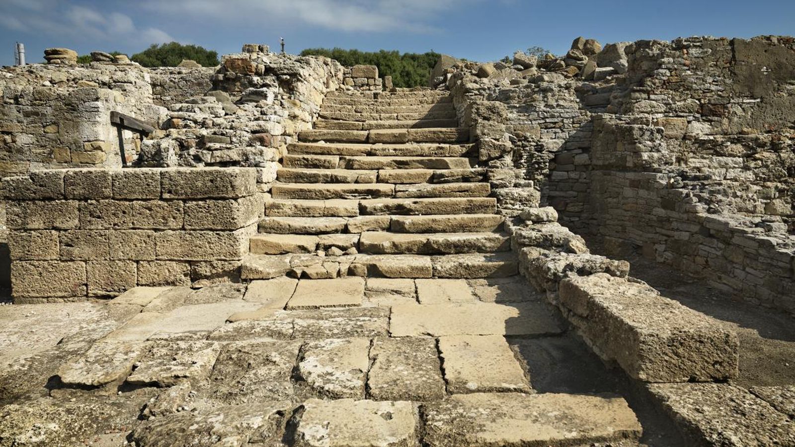 La escalinata monumental que da al Foro de Carteia. La escalinata monumental que da al Foro de Carteia.