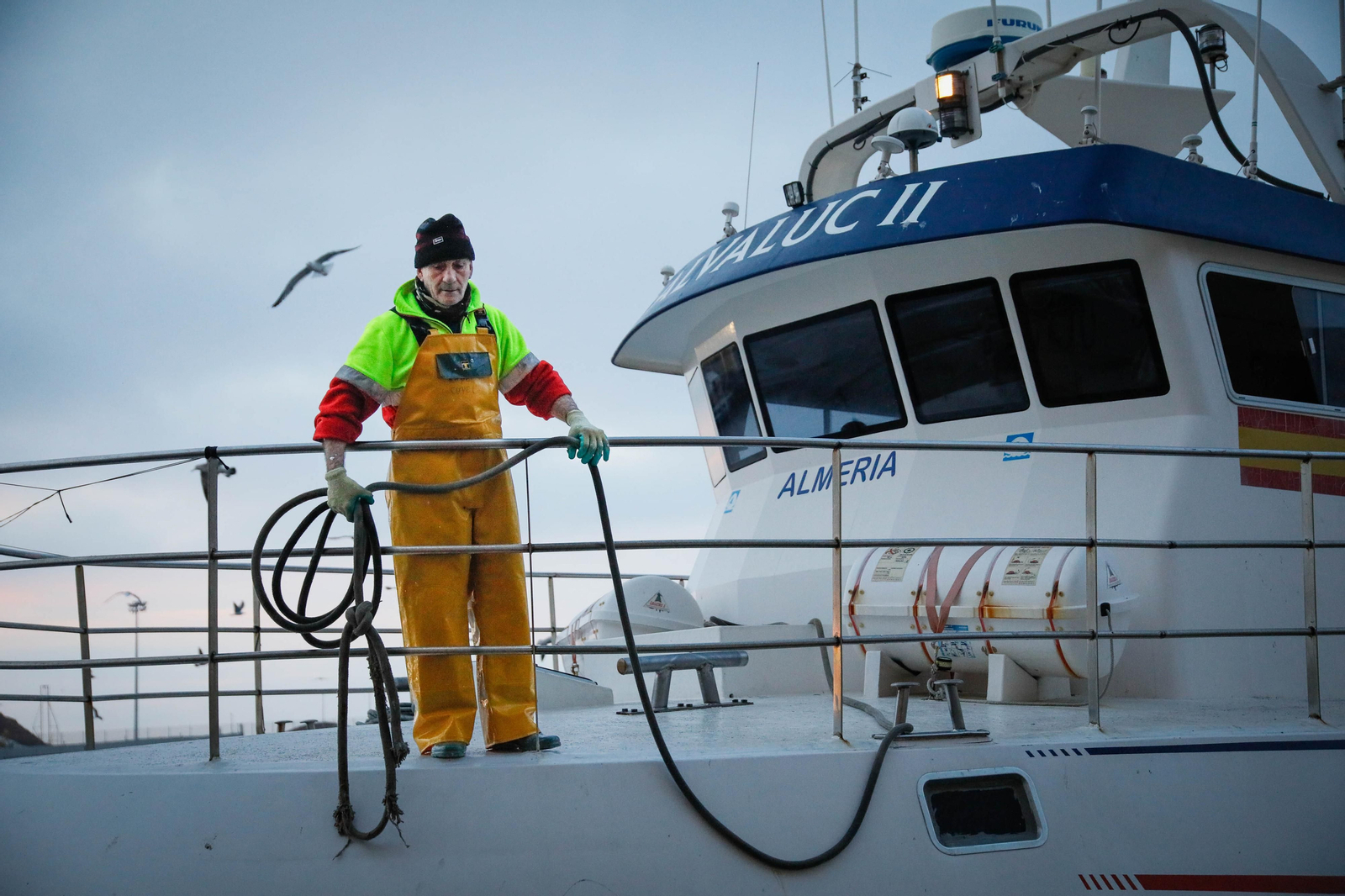 Te contamos en imágenes como ha sido la descarga de las traiñas en la lonja de Almería