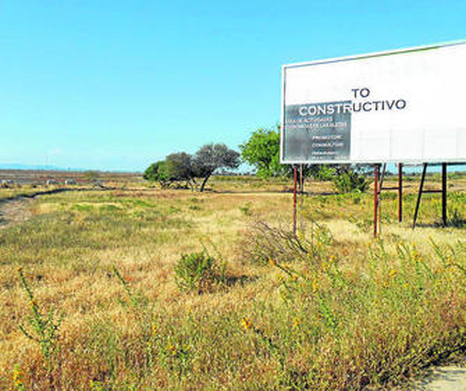 Marisma desecada de Las Aletas, donde se planea la construcción de un parque tecnológico.