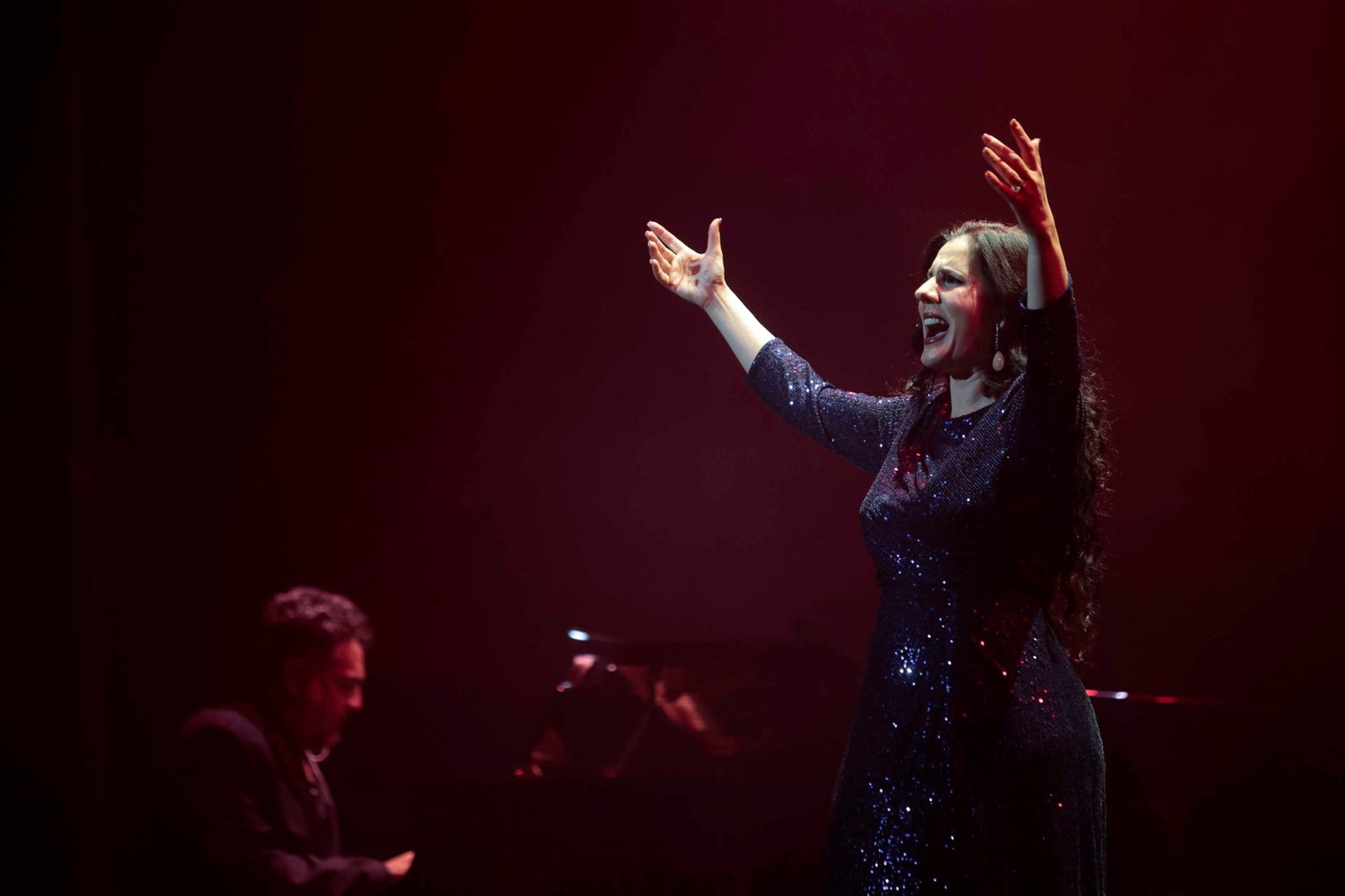 Diana Navarro en su concierto en La Línea.