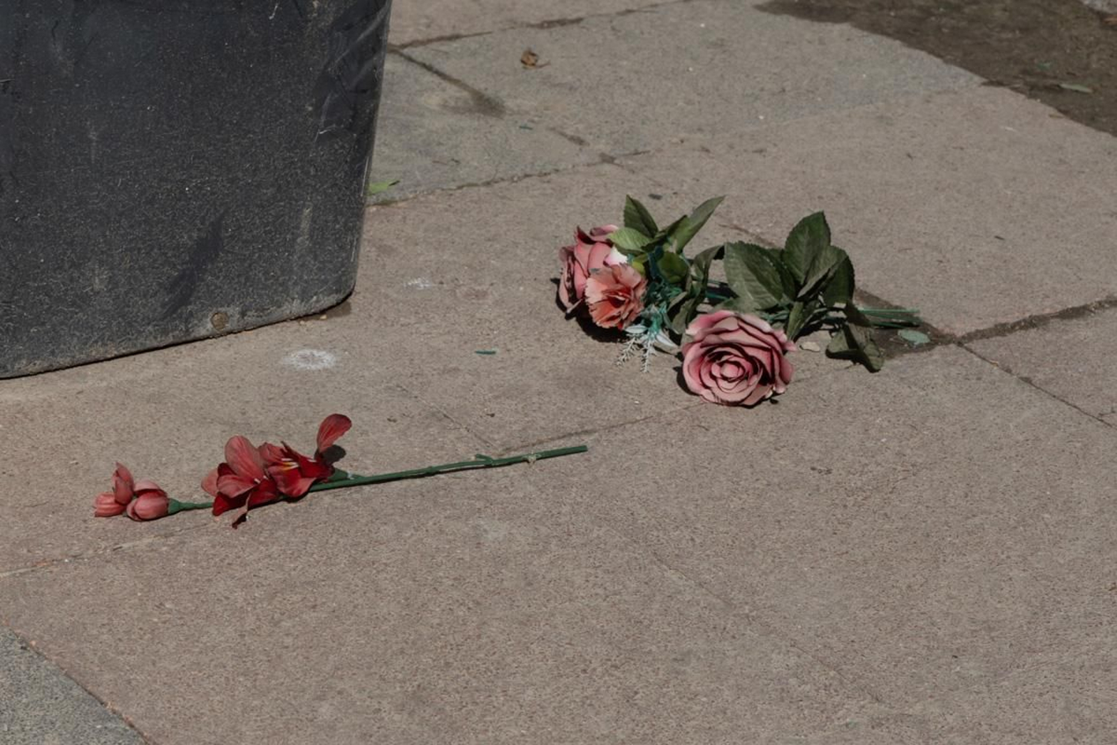 Día de Los Santos en el cementerio de San Fernando y San Eufrasio de Jaén, en imágenes