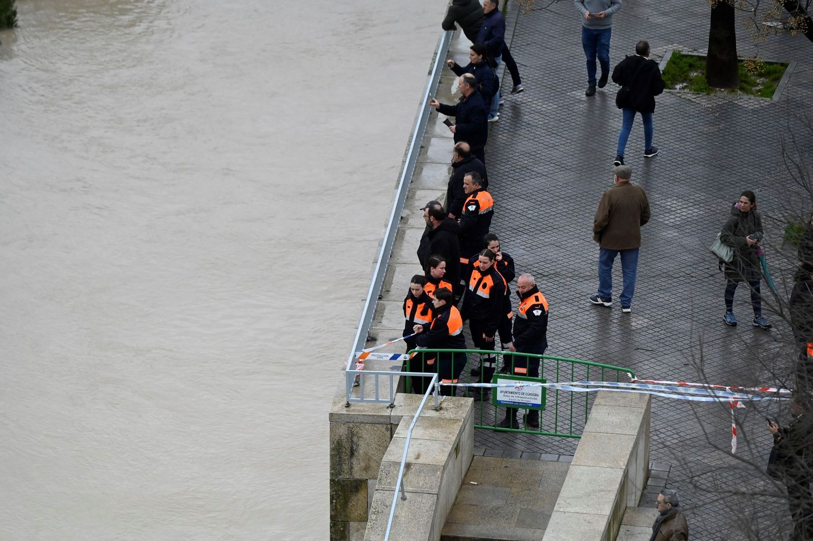 La impresionante crecida del río Guadalquivir: se acerca a los 6 metros a su paso por Córdoba