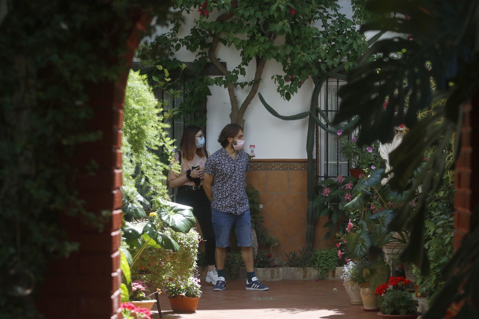 Ruta Santiago - San Pedro de los Patios de Córdoba, en imágenes