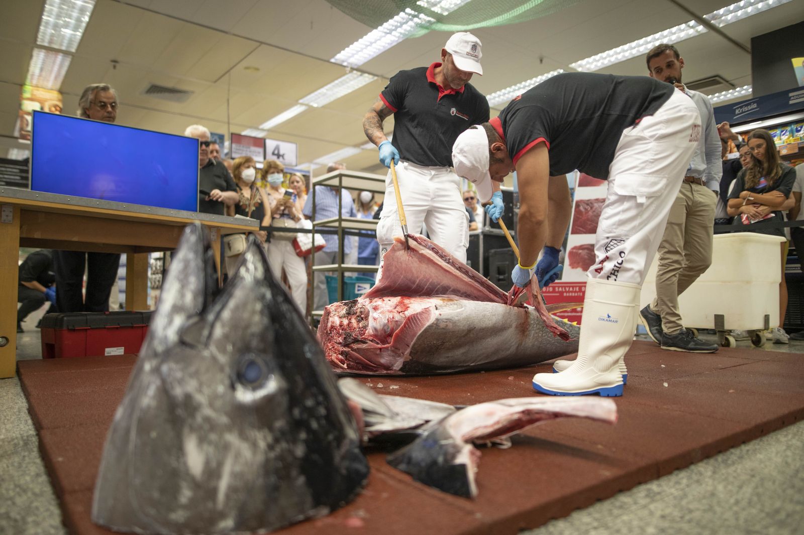 Los maestros cortadores despiezan el atún ante durante la exposición del año pasado.