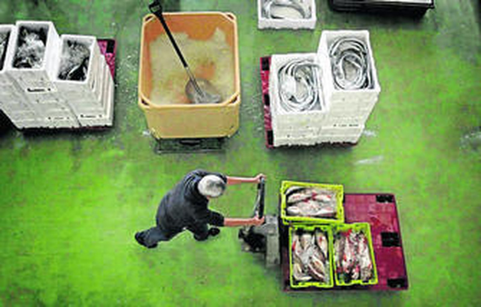 Un empleado empuja una carretilla llena de pescado en la lonja de Tarifa, en una imagen de archivo.