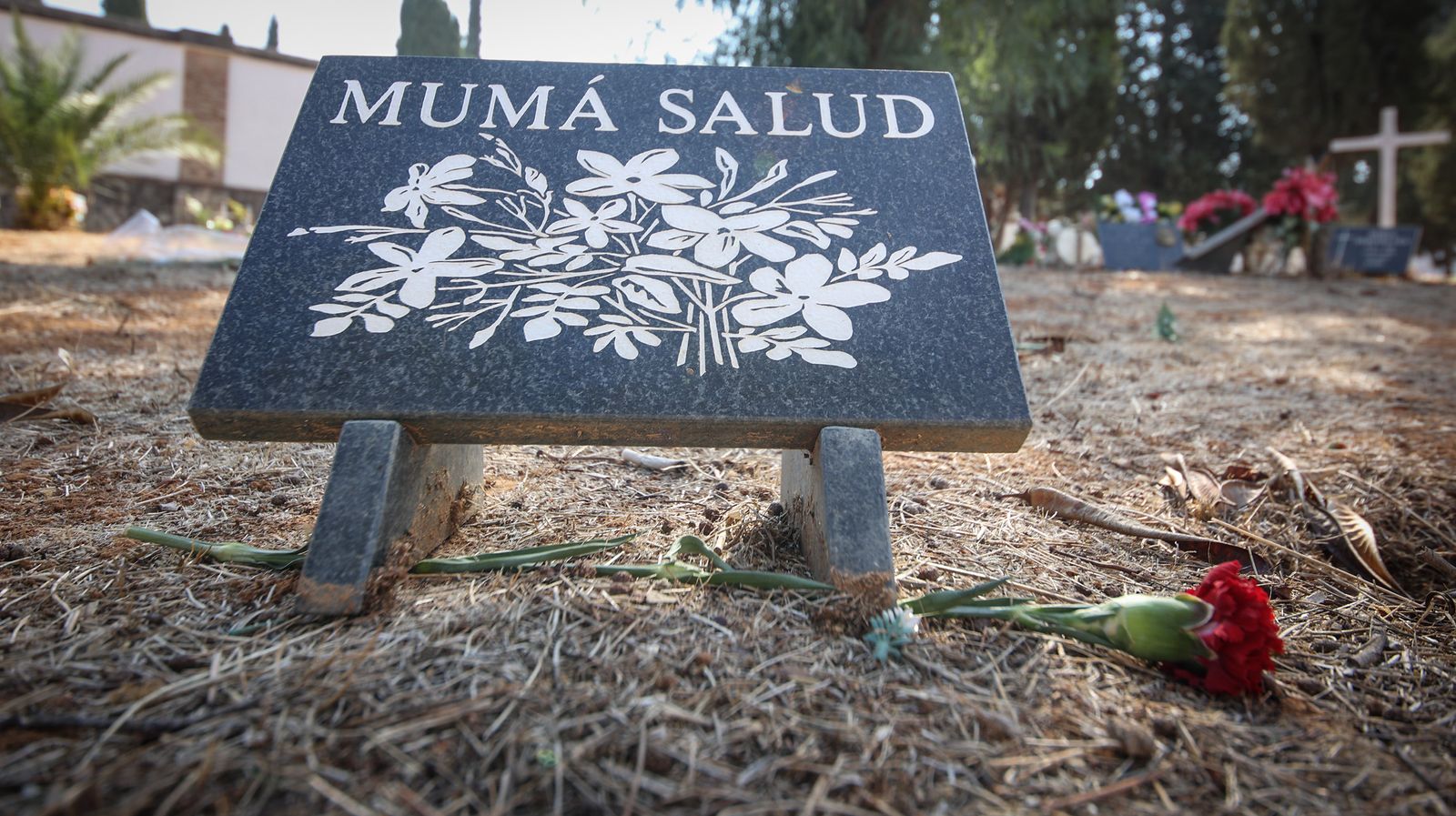 Día de recuerdo y emociones en el cementerio de Jerez