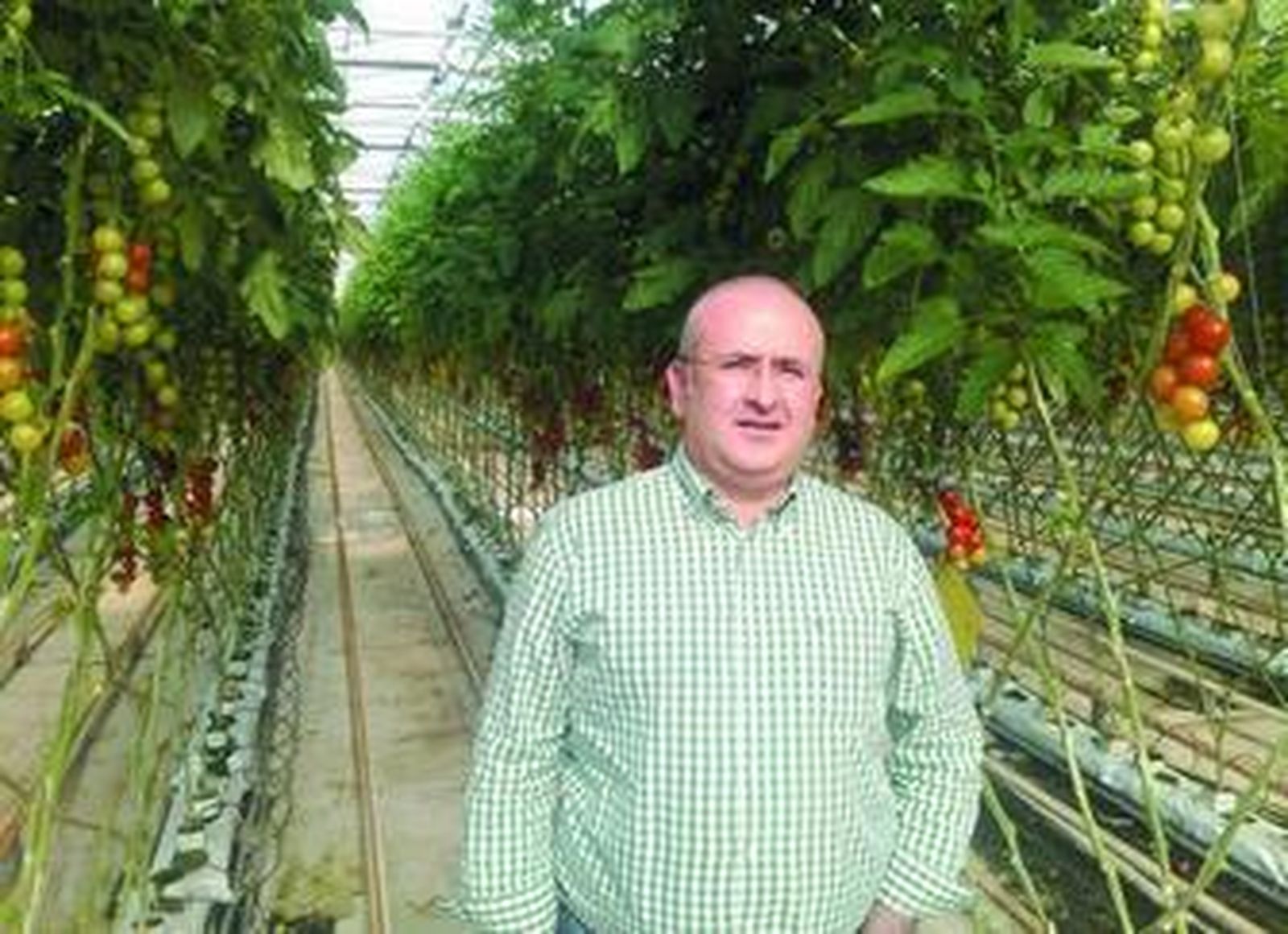 Manuel Gómez Carmona, asesor agronómico.