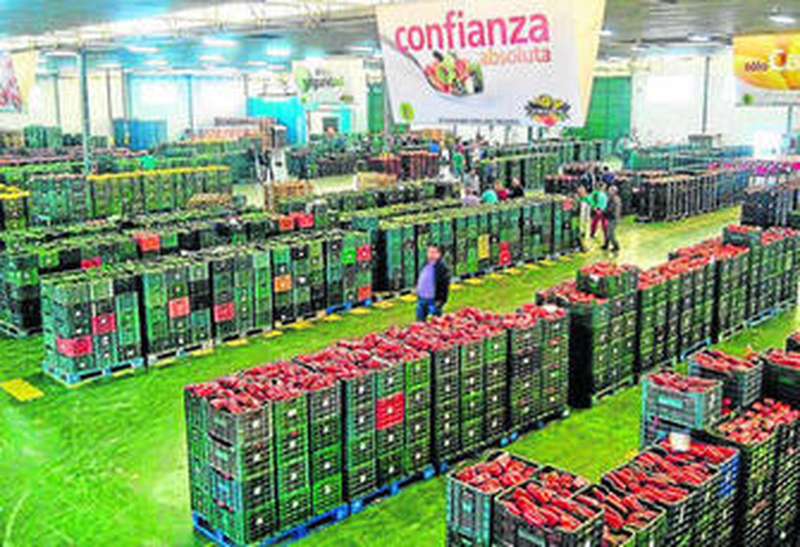 Las frutas y las hortalizas almerienses muestran su fortaleza en los mercados internacionales.