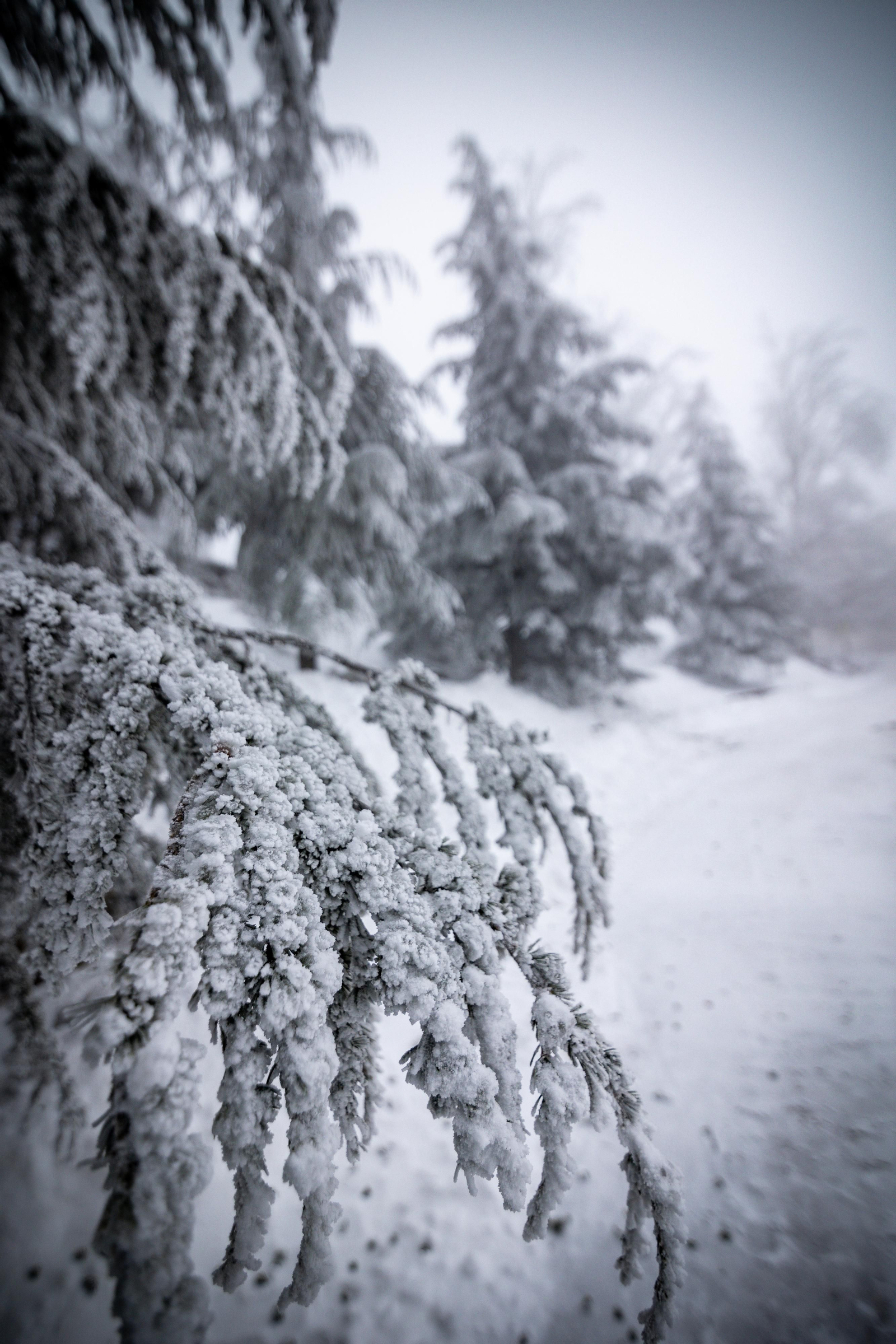 La copiosa nevada registrada en Sierra Nevada, en imágenes