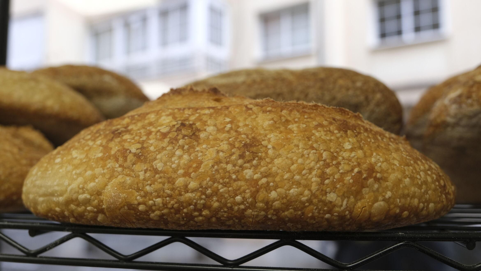 Vea cómo hacen el pan en la Panadería 'La Pelina'