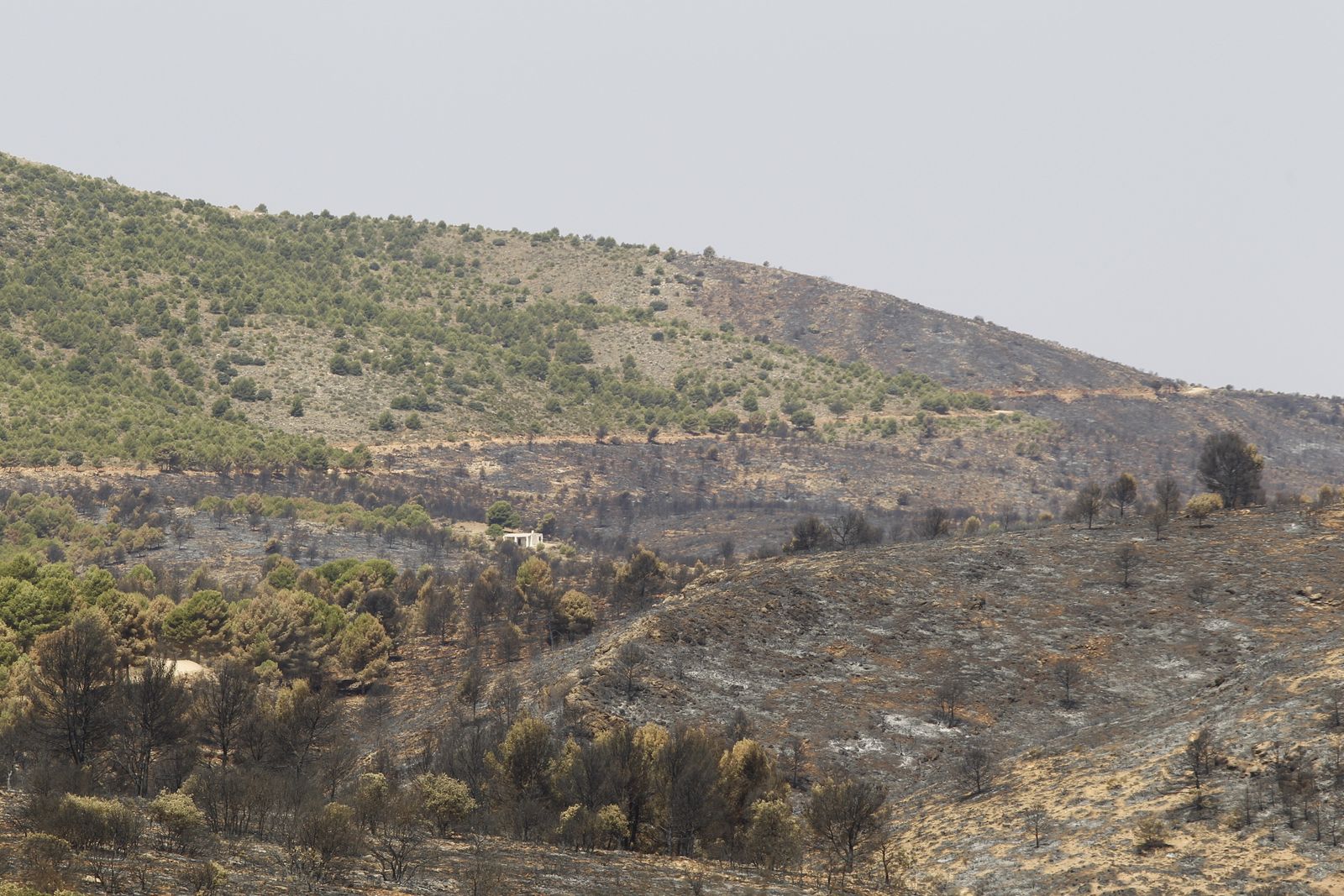 Fotogalería incendio extinguido Sierra de Gádor