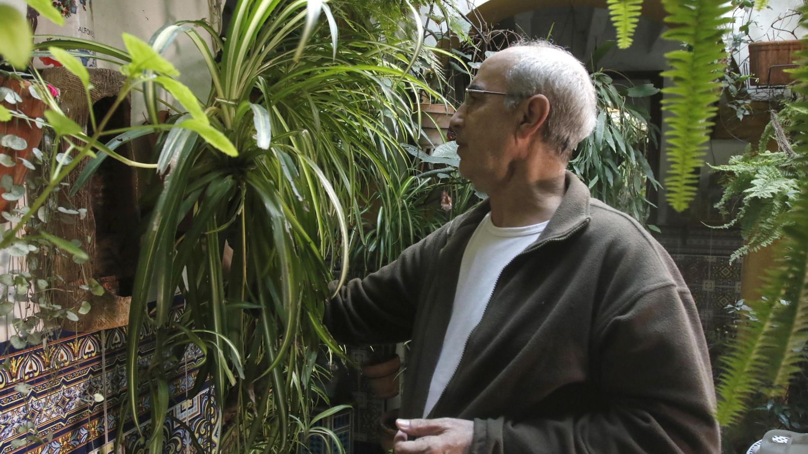 Jacinto Muñoz, en su patio de Alfonso XII, 29.