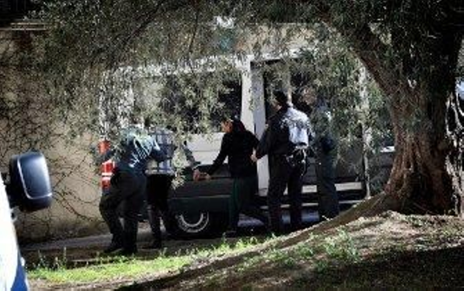 De gambas, coches y cumpleaños