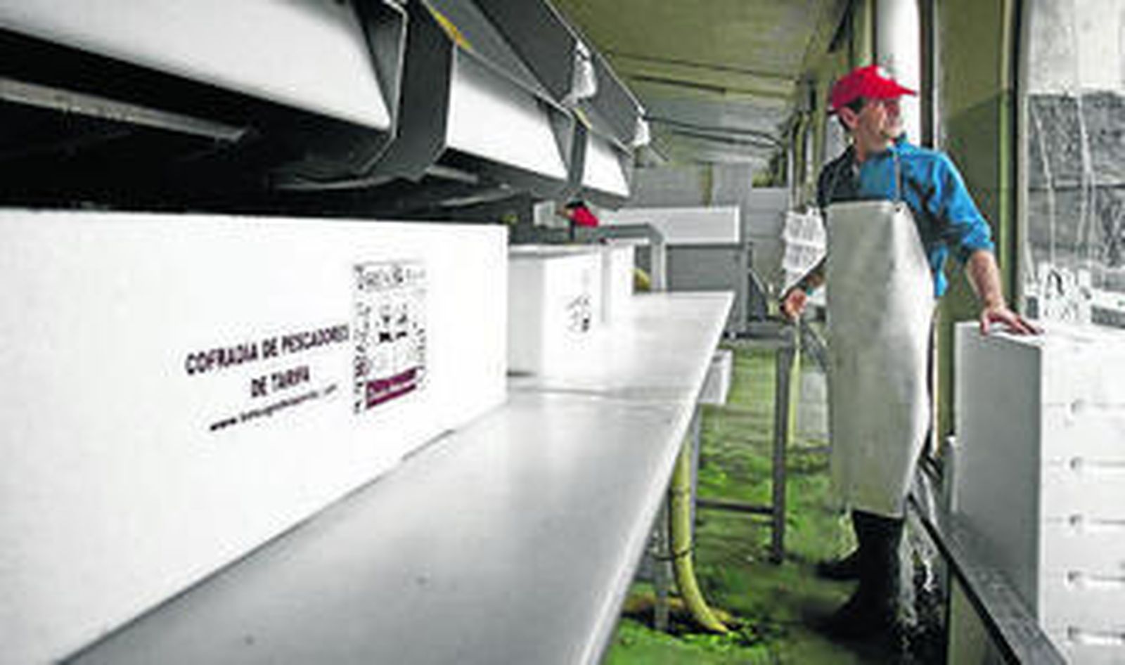 Un trabajador de la lonja de Tarifa prepara los envases.