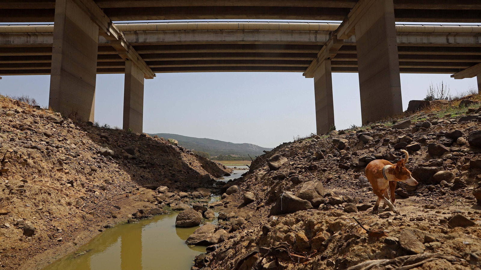 Fotos del embalse de Charco Redondo al 31 % de su capacidad Fotos del embalse de Charco Redondo al 31 % de su capacidad