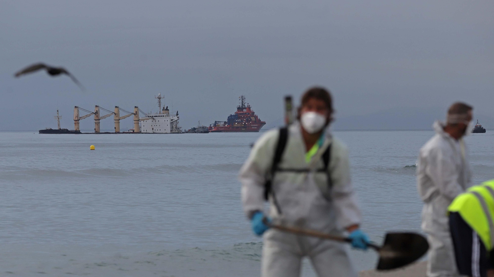 Fotos de las labores de limpieza en la playa de Santa Barbara por el nuevo vertido del 'OS 35' en La Línea