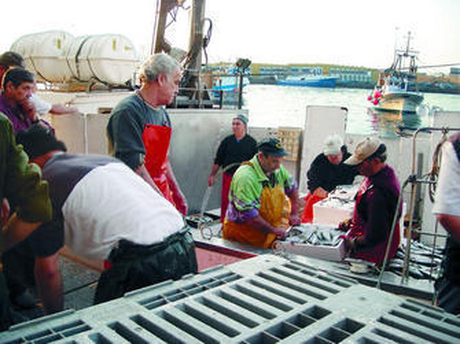 Desembarco de una embarcación de cerco en el puerto de Almería.