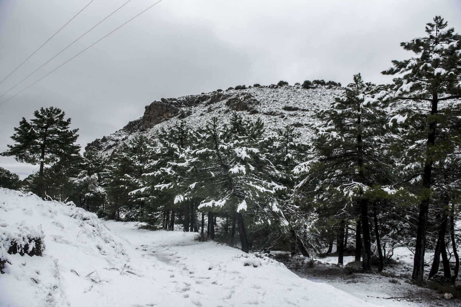 Todas las imágenes del paso del temporal por Granada