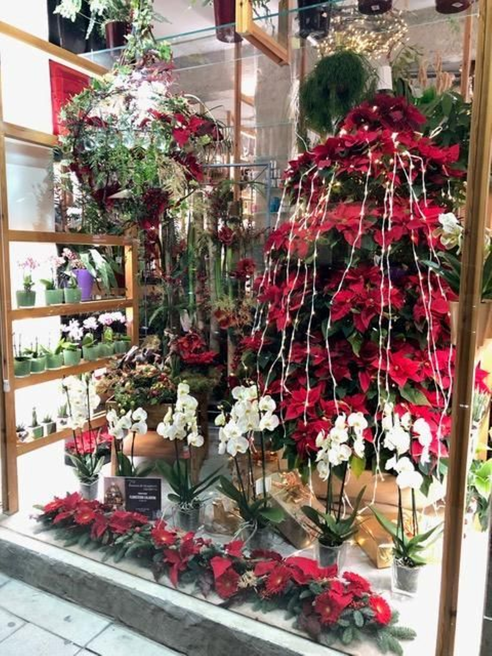 El escaparate ganador de la Floristería Caladium