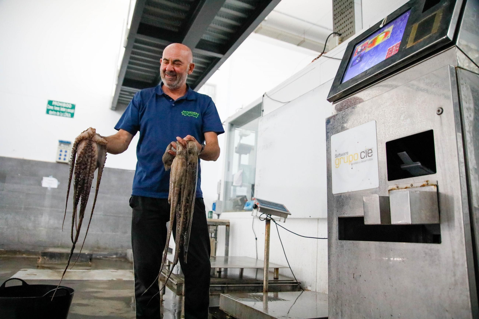 Vea cómo es la captura de pulpo en Adra, un manjar gastronómico