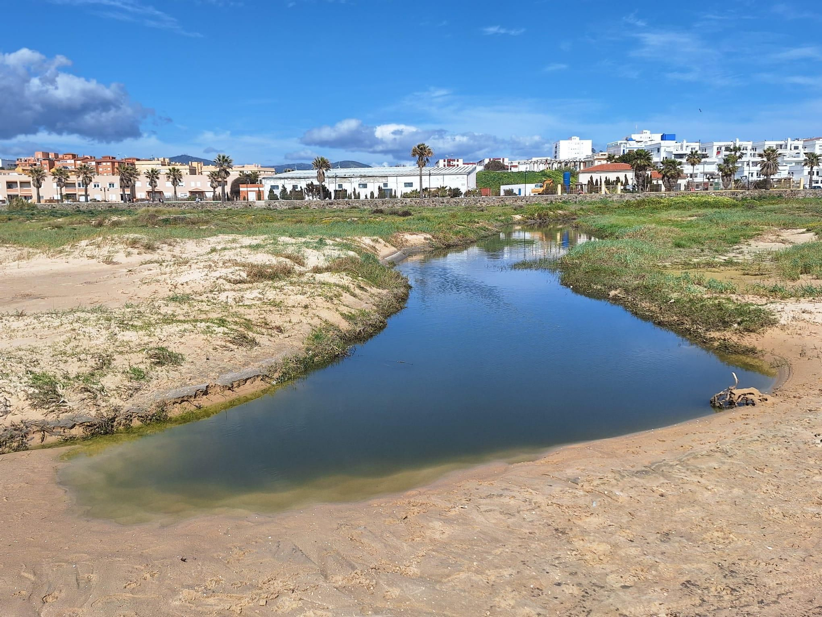 El vertido de aguas fecales en la playa de Los Lances de Tarifa, en imágenes.