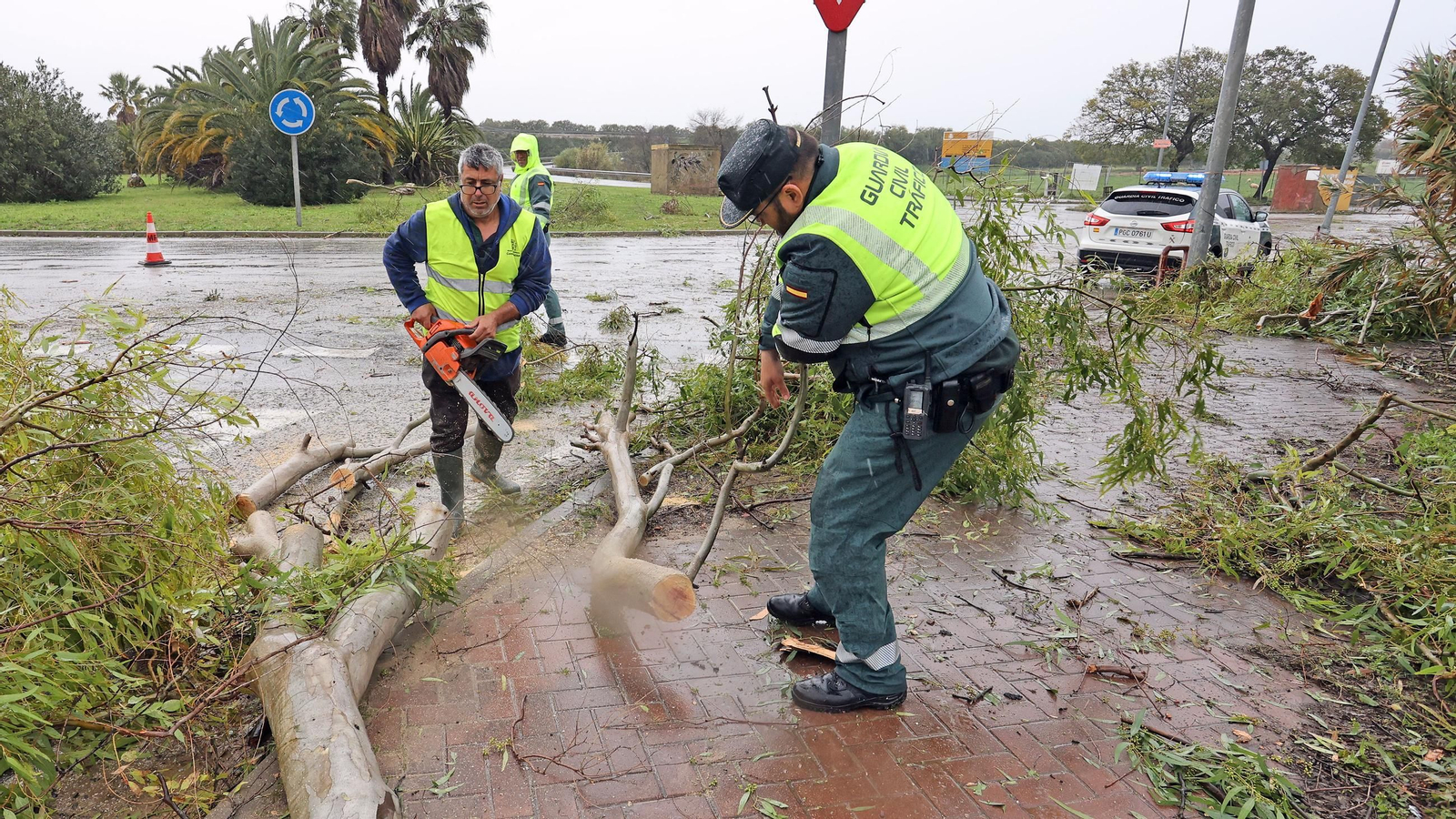 Imágenes del temporal de viento y lluvia en Jerez