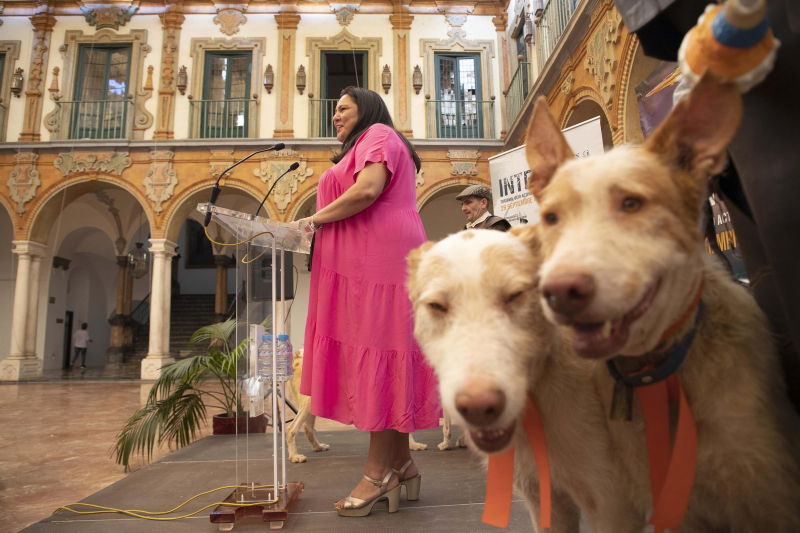 Dolores Amo presenta las actividades de Intercaza en el Palacio de la Merced.