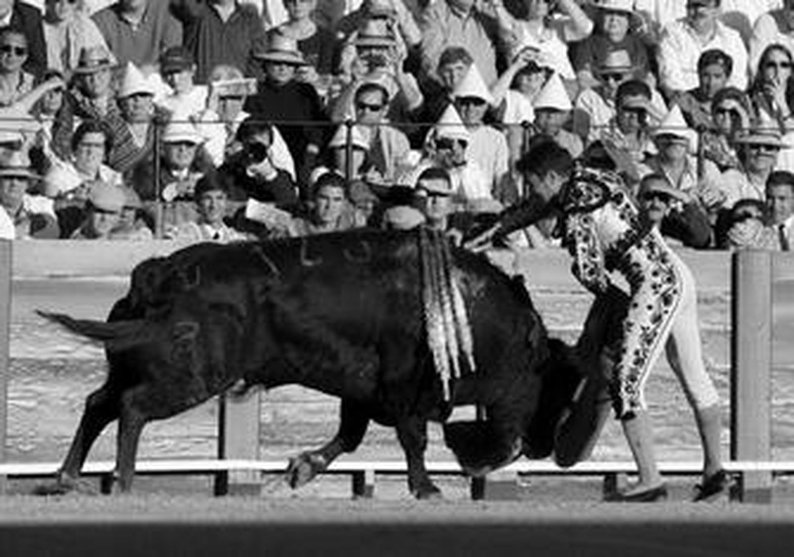El diestro José María Manzanares, en una gran estocada a su primer toro de la tarde en el que obtuvo silencio.