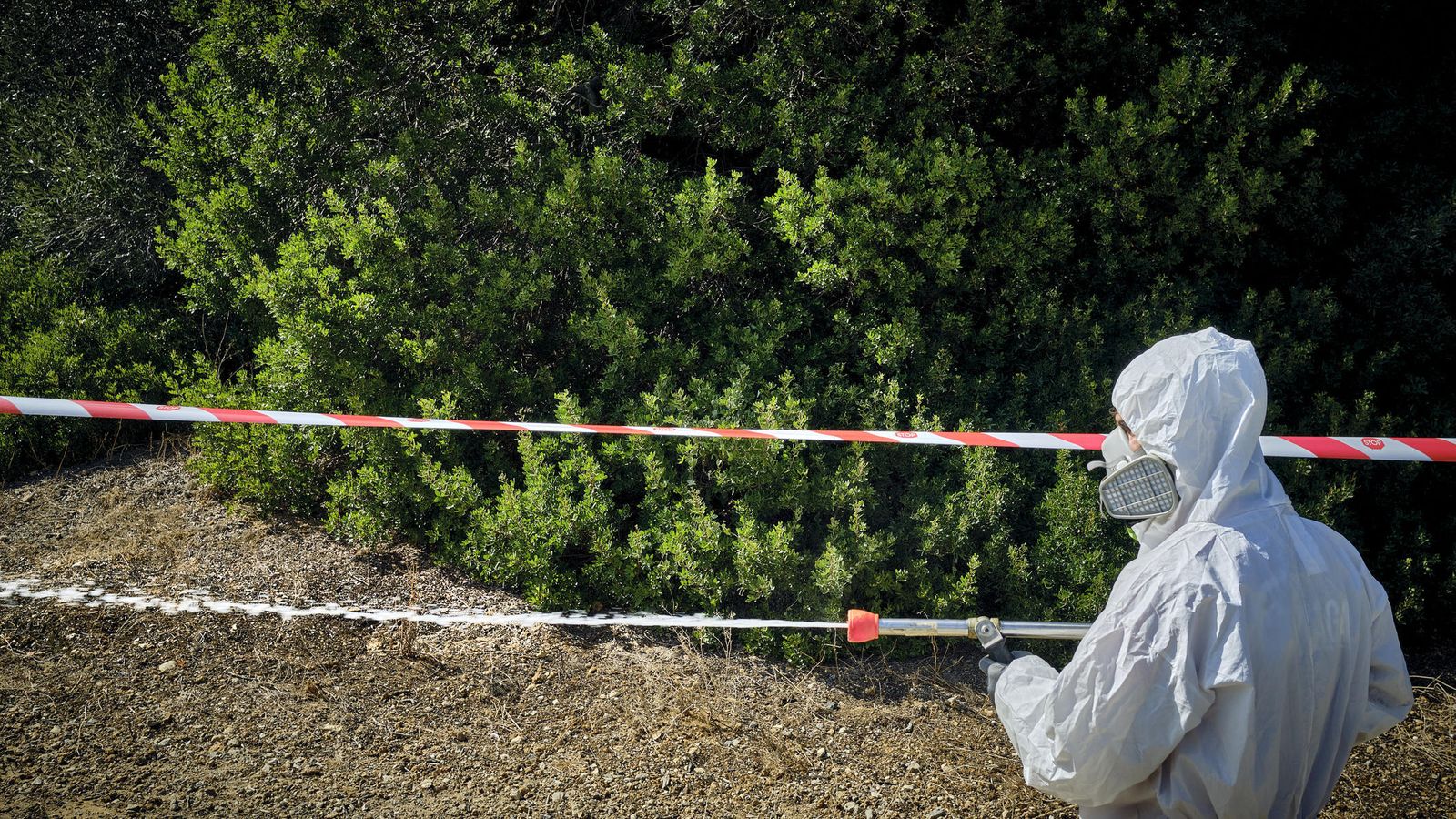 Trabajadores de la empresa Coplaga fumigan una zona de Las Canteras, en el término municipal de Puerto Real el pasado martes.