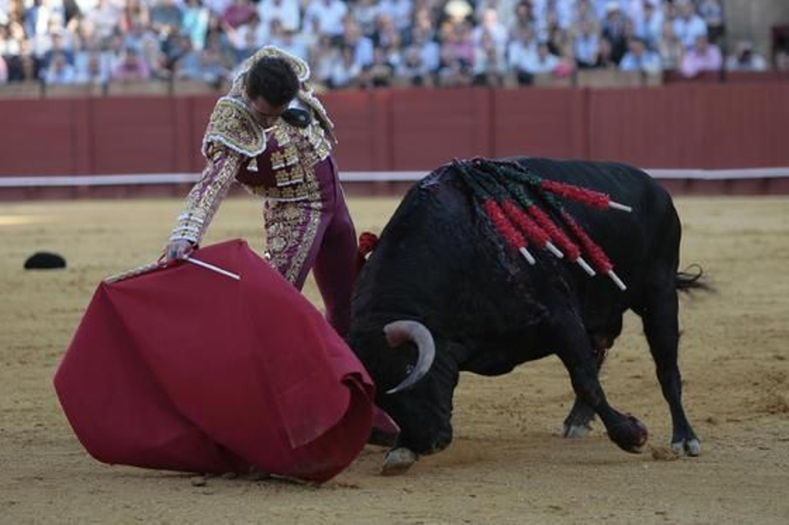 Foto: Juan Carlos Muñoz