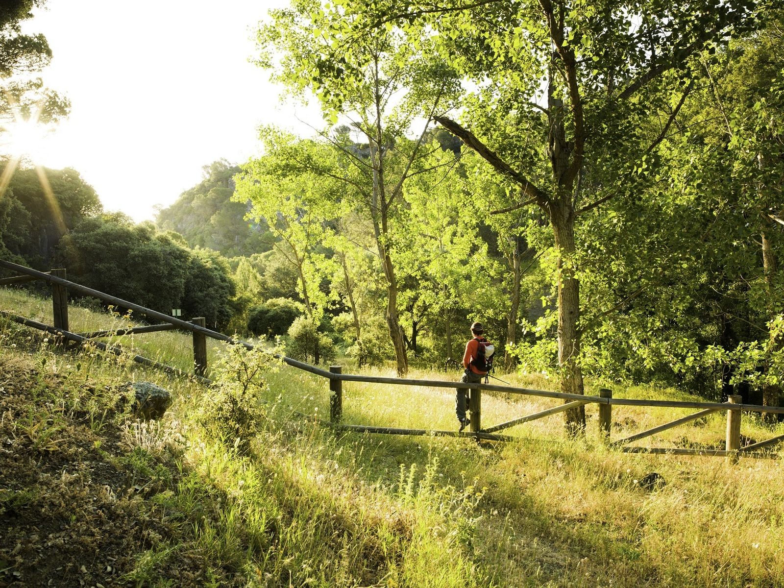 Uno de los tramos de la Gran Senda de Málaga.