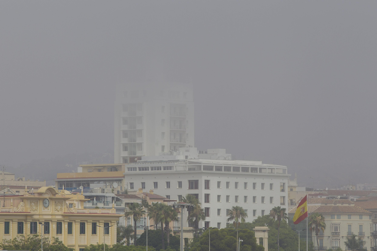 El taró provoca la prohibición del baño en las playas de Málaga, en imágenes