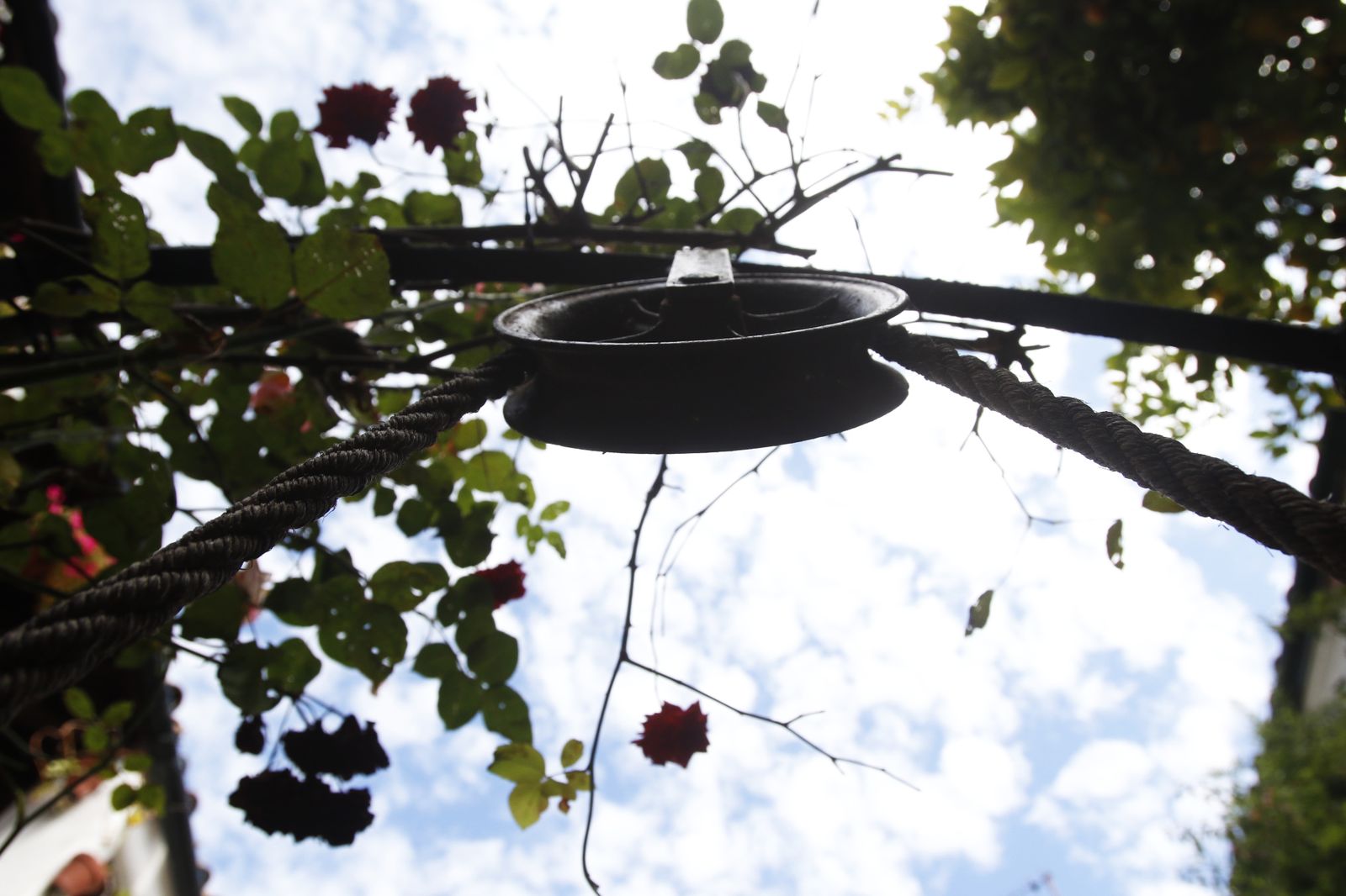 Los Patios de Córdoba en tiempos de crisis: Parras, 6