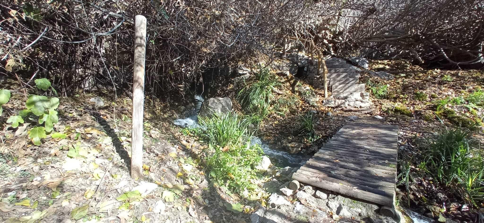 Las imágenes de la ruta del Bosque Encantado de Higueras