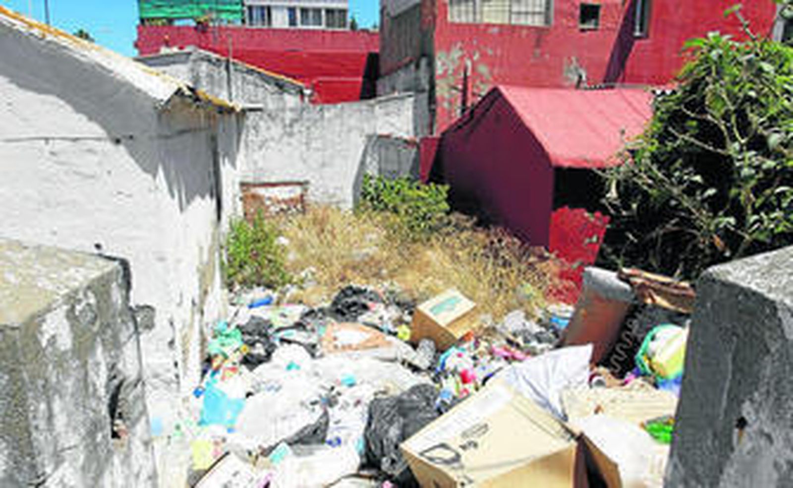 El patio de la vivienda abandonada, lleno de basura.