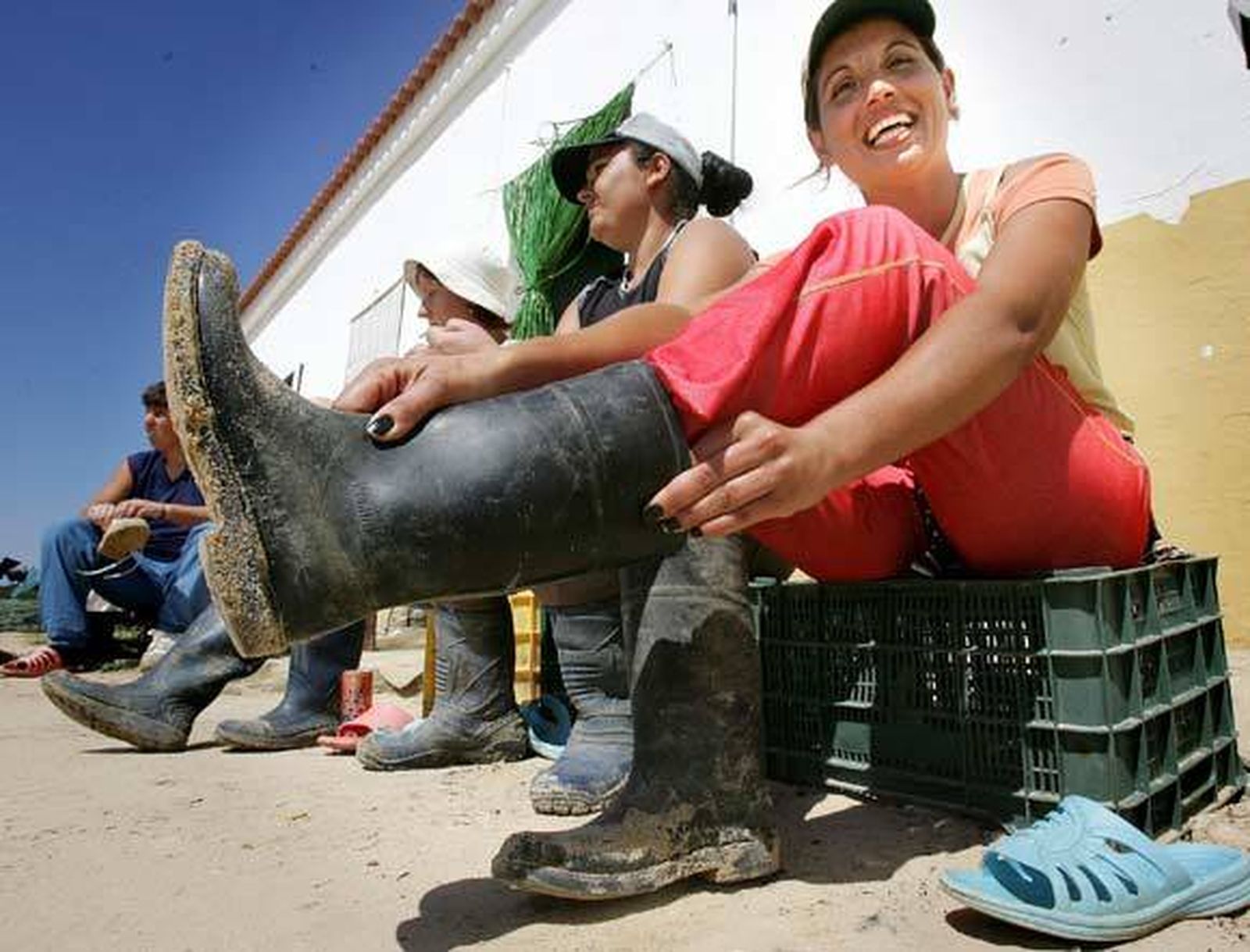 Historias de la fresa