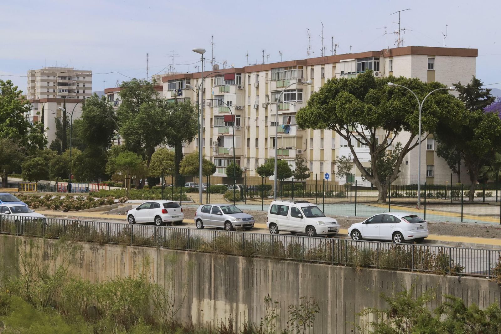 Las fotos del distrito Palma-Palmilla