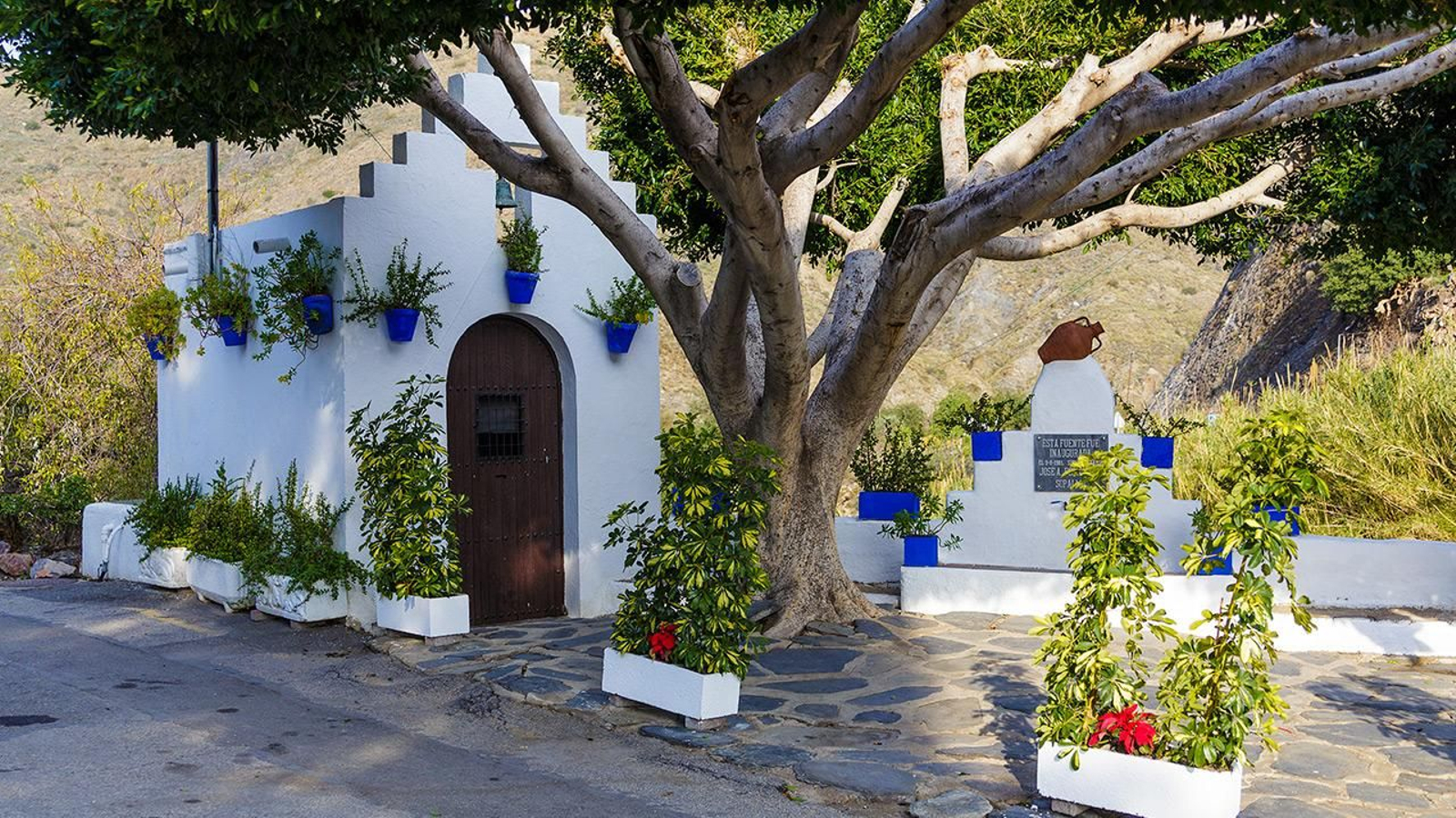 El barrio de Sopalmo cuenta las horas de sus populares fiestas del Cristo Rey