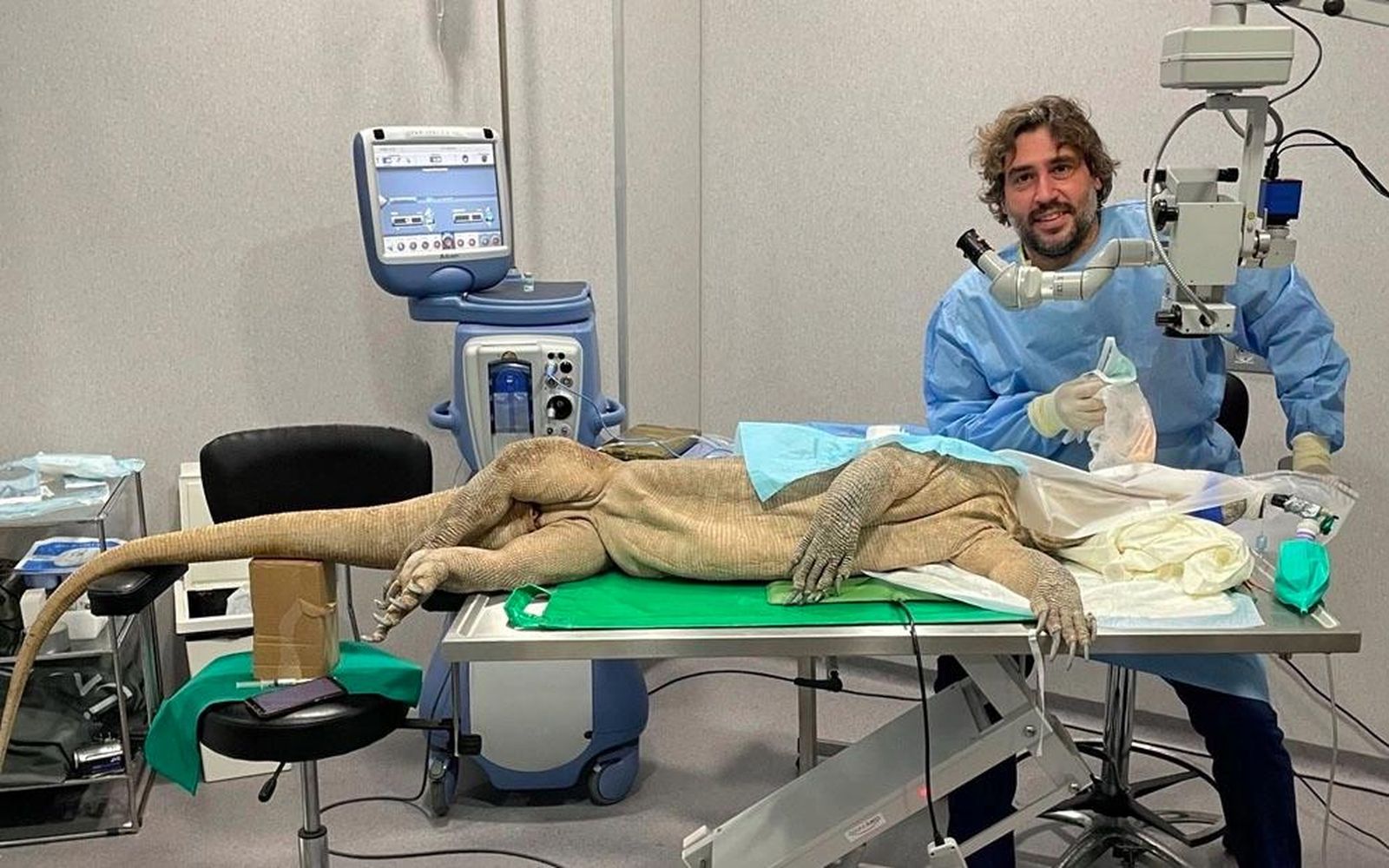 Operan de cataratas al primer dragón de Komodo en Europa
