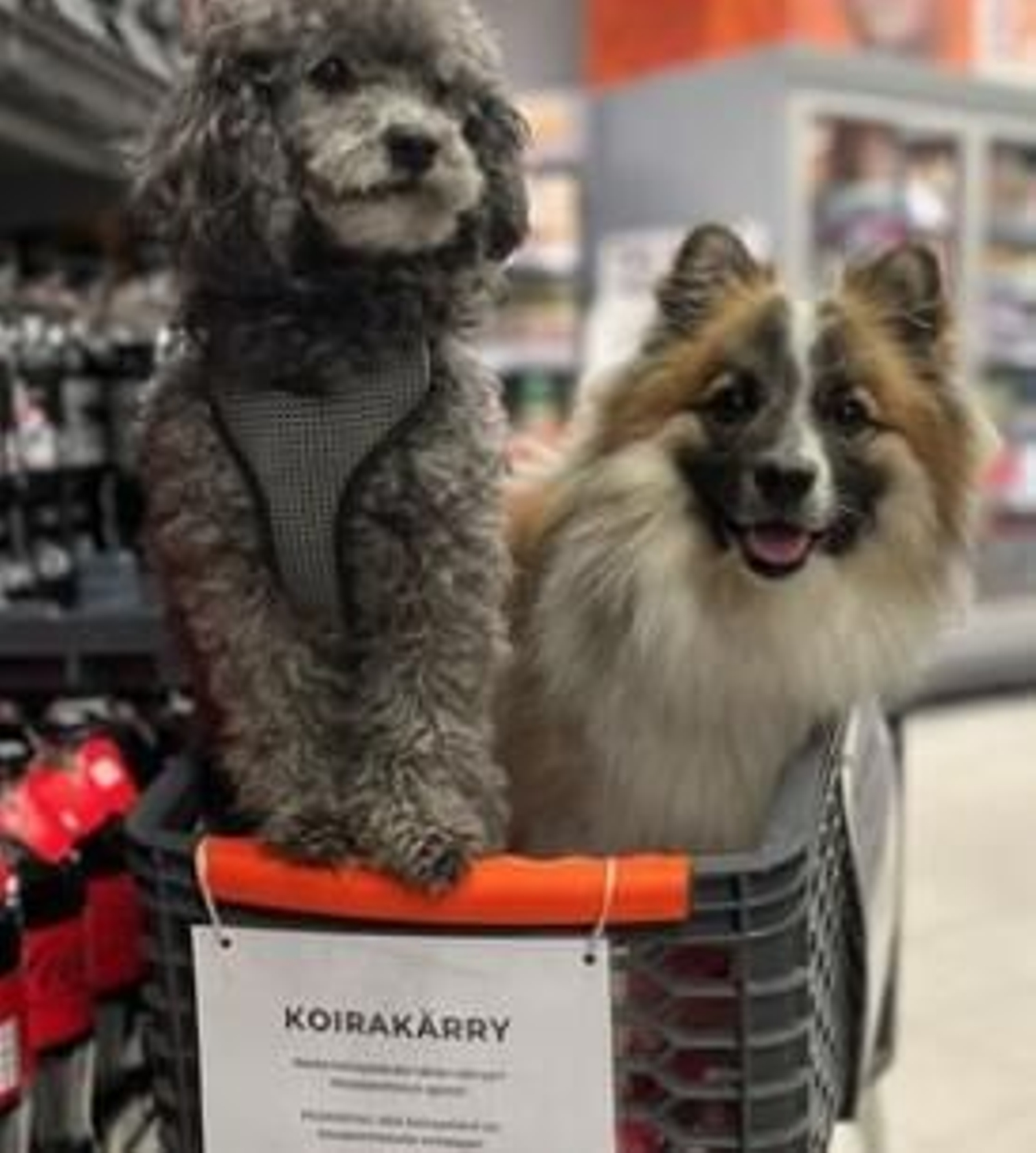 Carrito para perros en supermercado de Finlandia