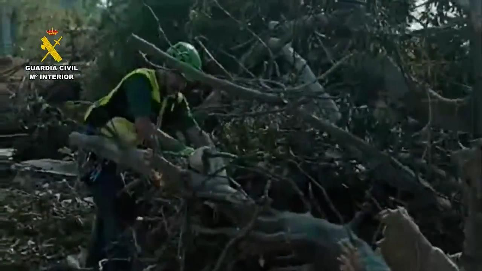 Búsqueda de la Guardia Civil en la zona de Torrent en Valencia