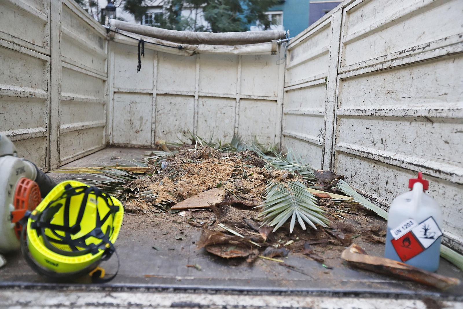 Imágenes de la tala de la emblemática Palmera de Huelva