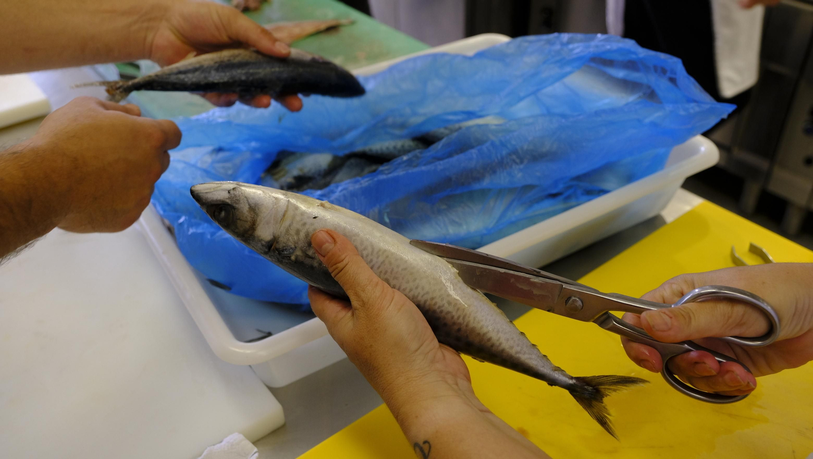 Imágenes de la Escuela de Hostelería de Almería, un referente en la enseñanza gastronómica