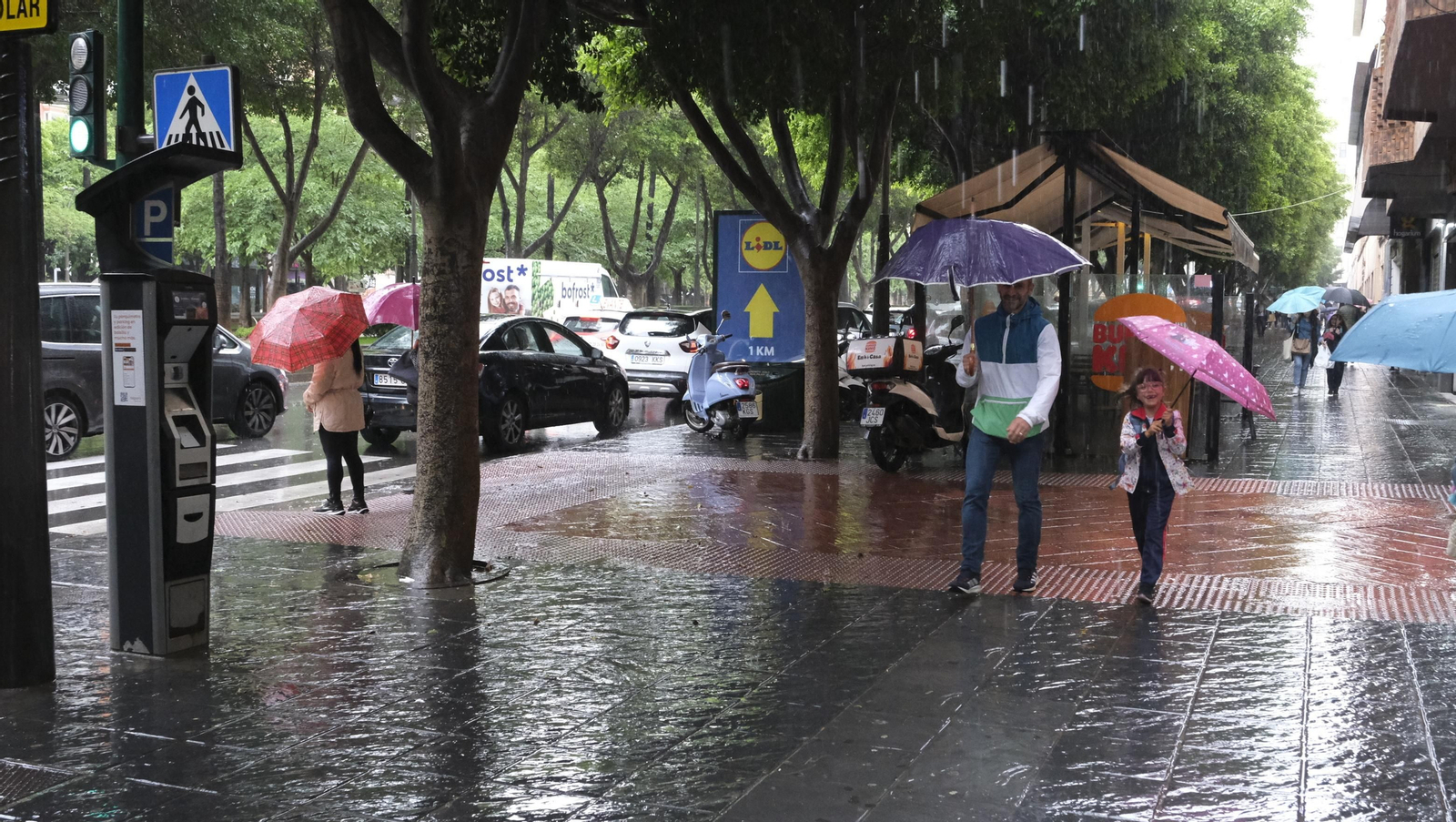 Los almerienses expresan su alegría por la lluvia