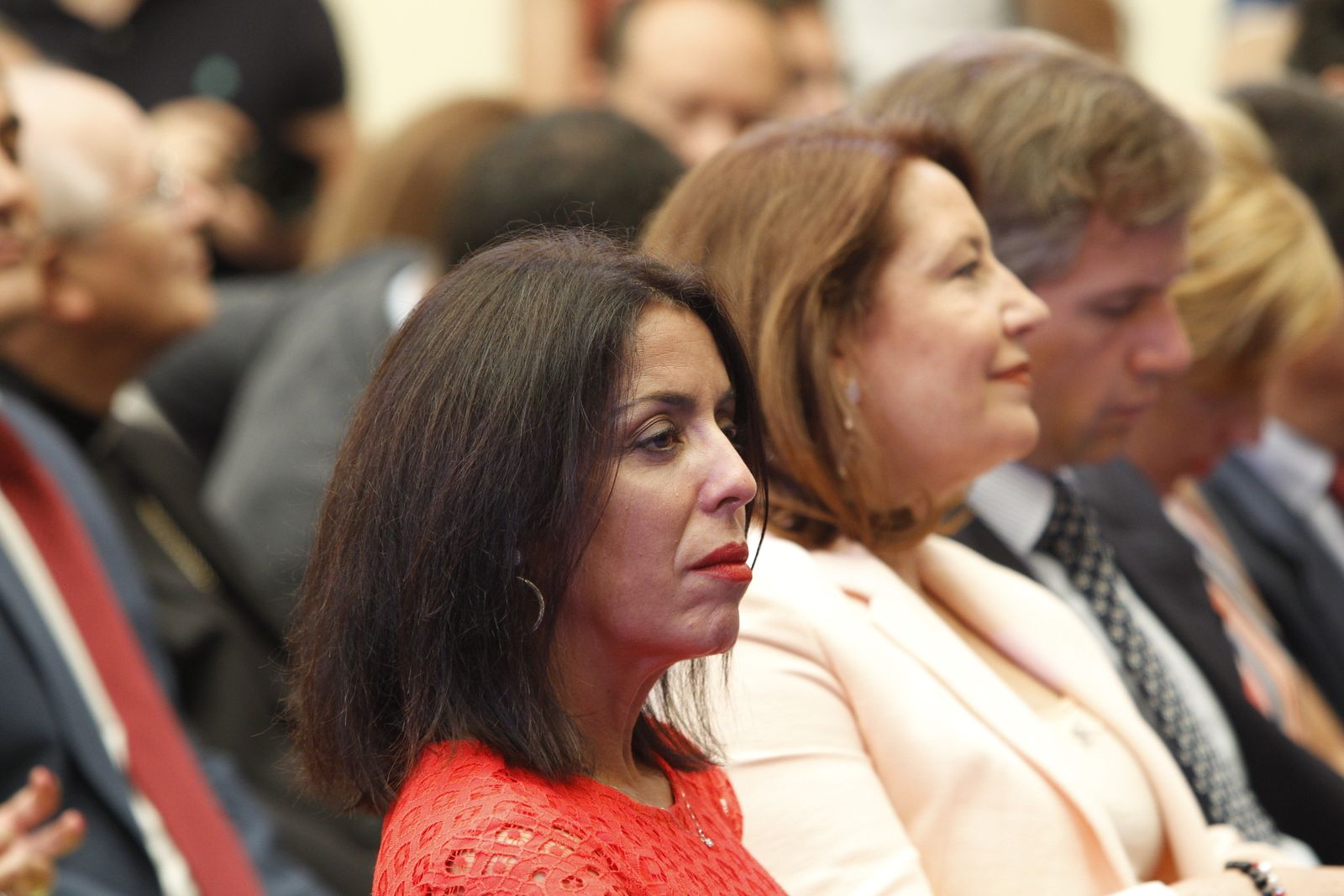 Pleno investidura Presidente Diputación de Almería. Javier Aureliano García